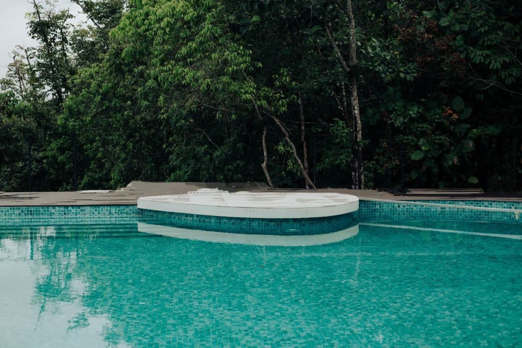 The pool with the forest rising behind it