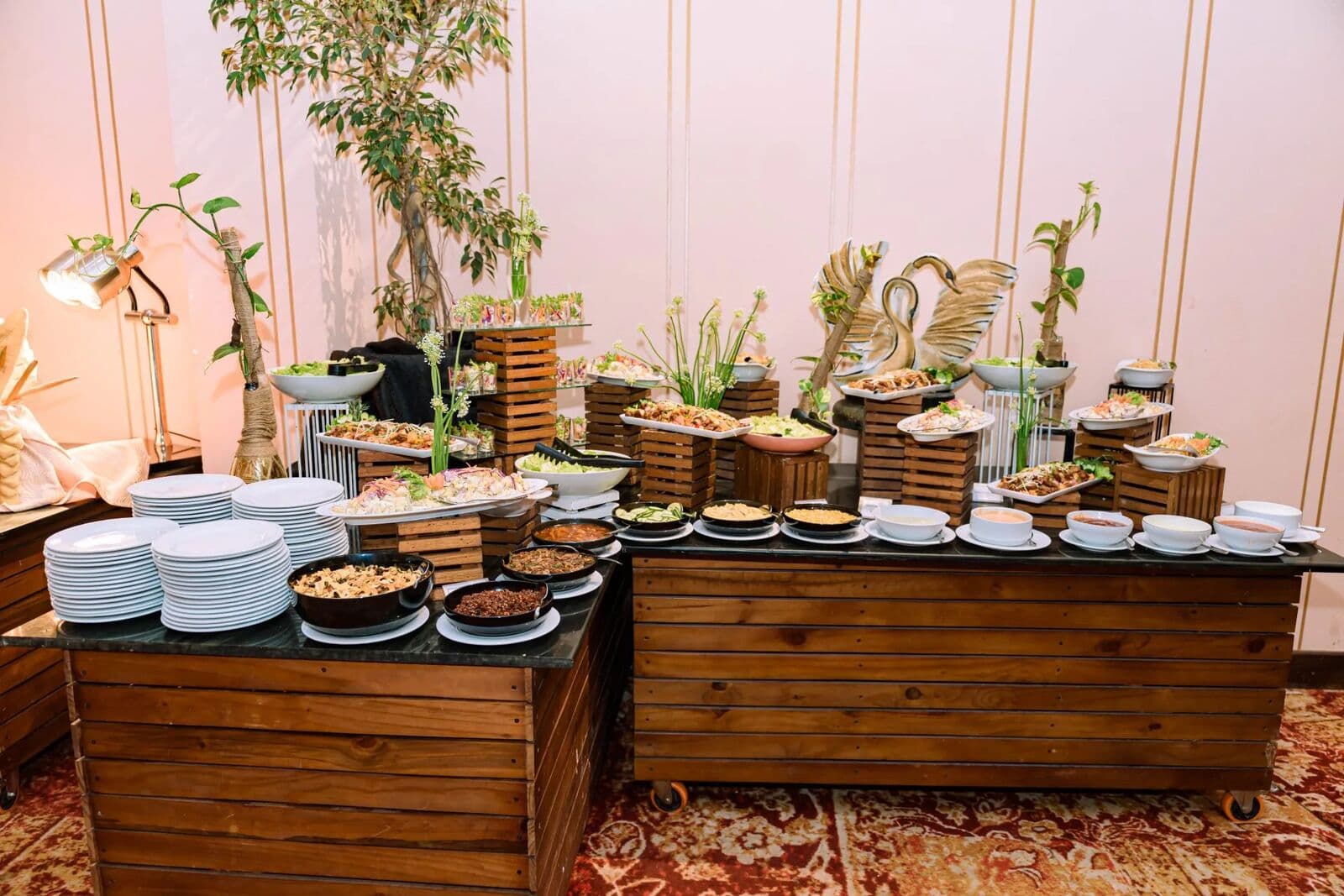 Salads and starters on a wooden buffet counter decorated with plants